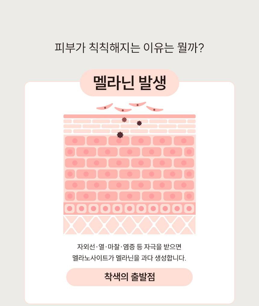 파머시안 멜라리스 100000 크림 30g 상세 4