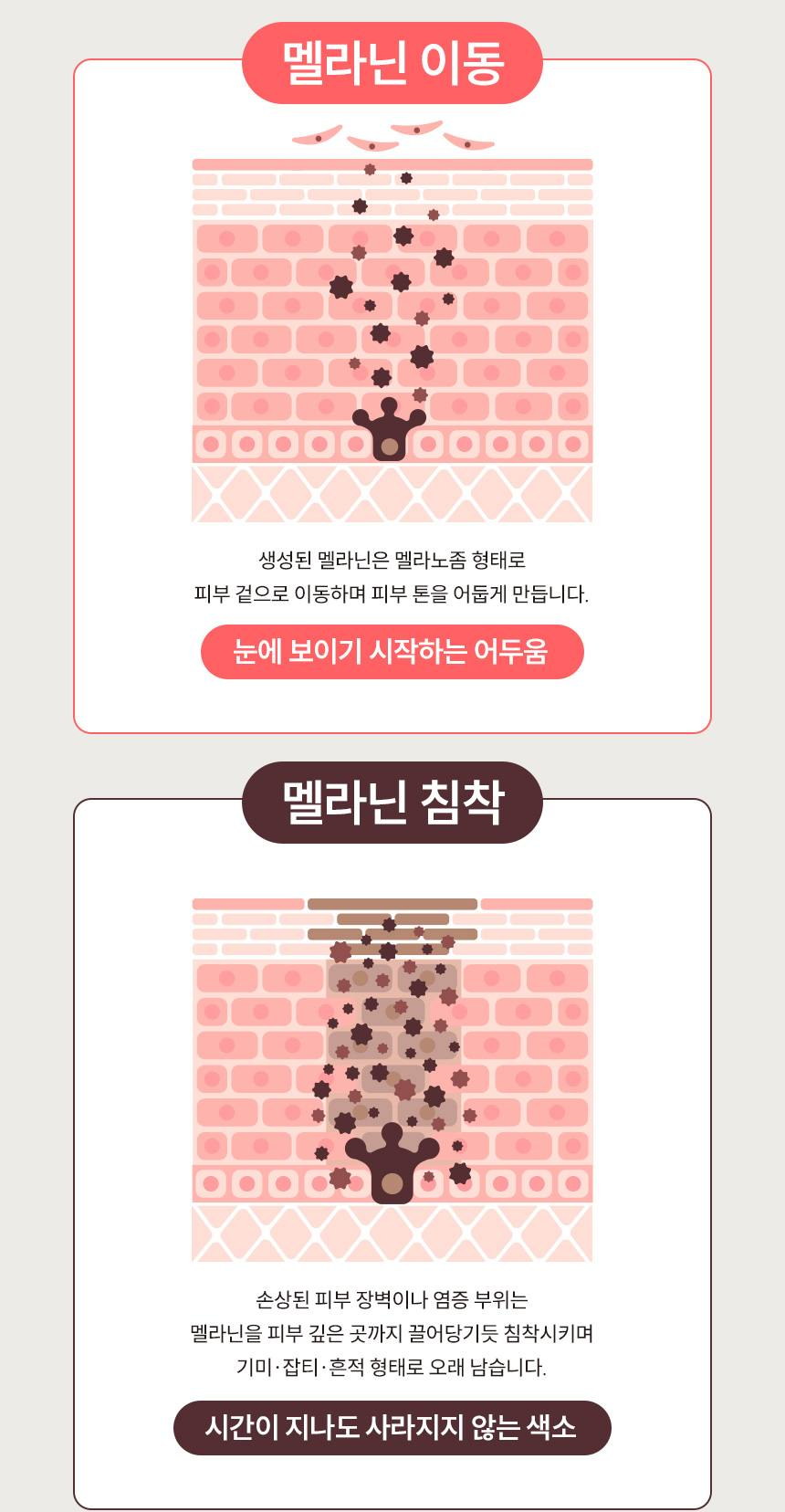 파머시안 멜라리스 100000 크림 30g 상세 5