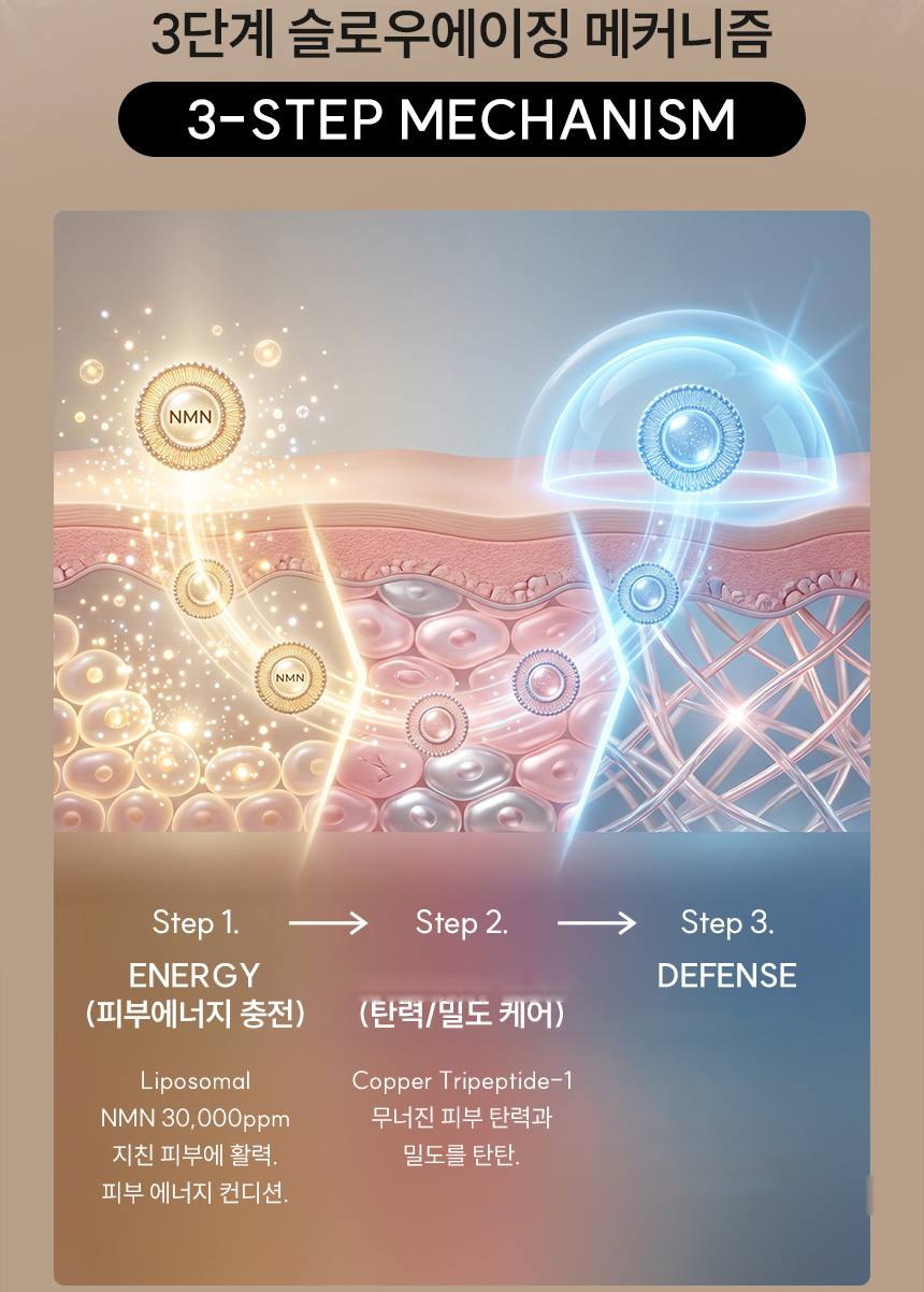 파머시안 NMN 30000 크림 30g 상세 6