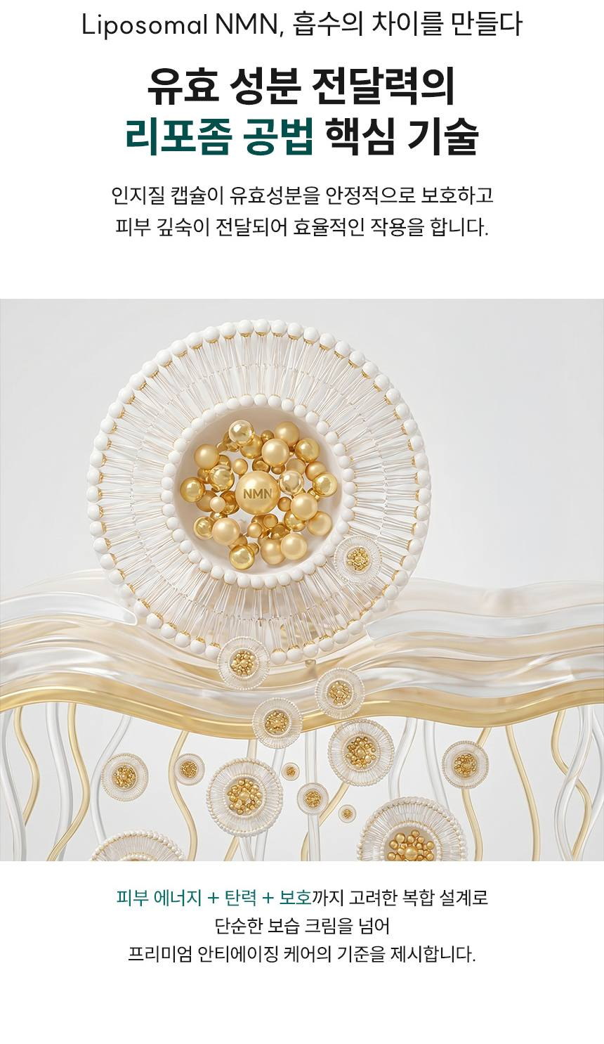 파머시안 NMN 30000 크림 30g 상세 16