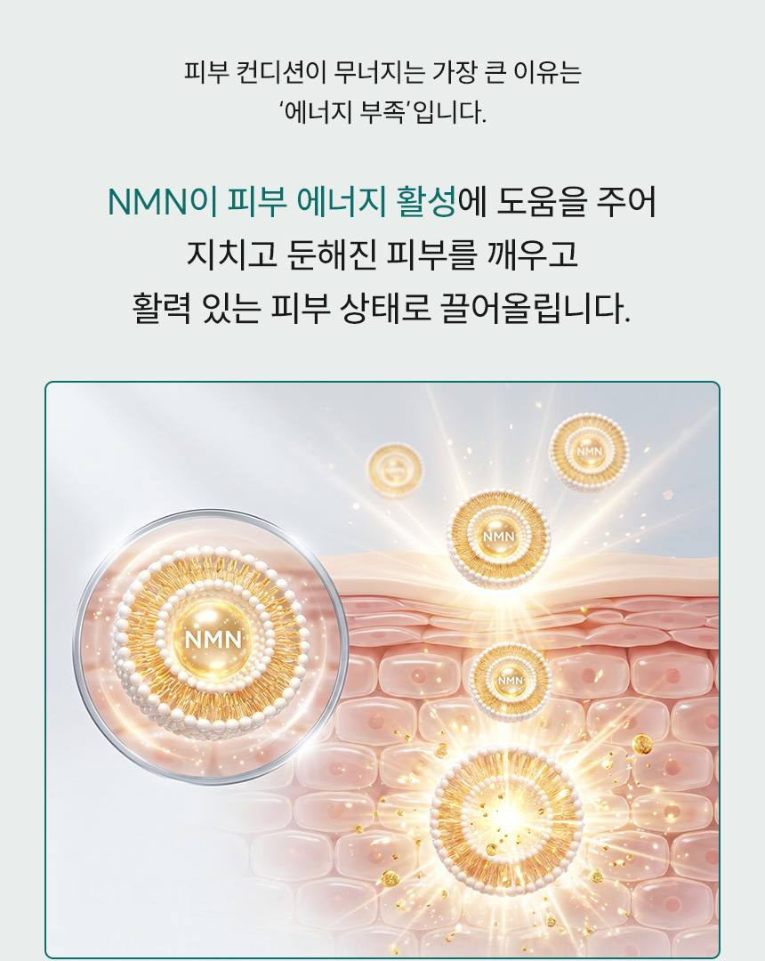 파머시안 NMN 30000 크림 30g 상세 18