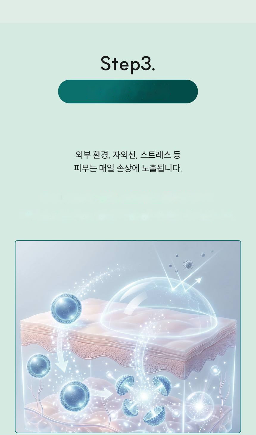 파머시안 NMN 30000 크림 30g 상세 20