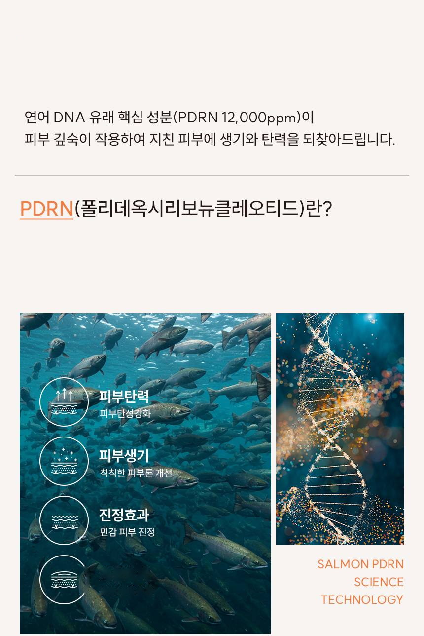 파머시안 PDRN 12000 크림 30g 상세 6