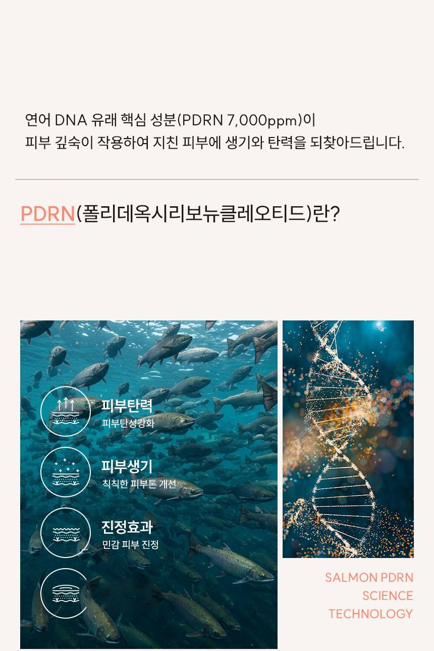 파머시안 PDRN 7000 크림 30g 상세 6
